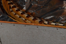 DSC_2551-BorderMaker