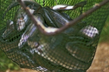 1980-Bombakkes-Jaarlijks-reisje-41