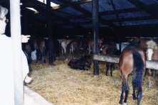 1995-Bombakkes-Jaarlijks-Uitstapje-07