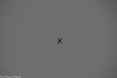 DSC_0205-BorderMaker