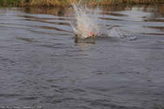 IMG_9821-BorderMaker