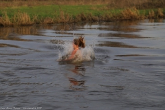 IMG_9907-BorderMaker