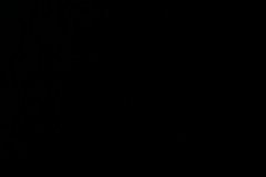 2011-03-06-optocht-161