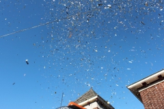 2011-03-06-optocht-221