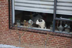 IMG_4329-BorderMaker