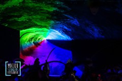 Prinsenbal-Bombakkes-2024-166