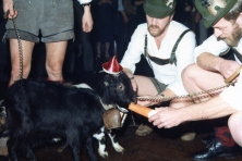 1983-Bombakkes-Prinsenreceptie-73