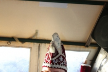 IMG_1150-BorderMaker