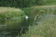 2005-Bombakkes-Zomercarnaval-10