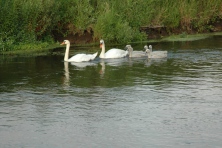 2005-Bombakkes-Zomercarnaval-11